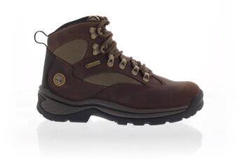 Timberland Chocorua Trail Gore-Tex Hiking Boots dames