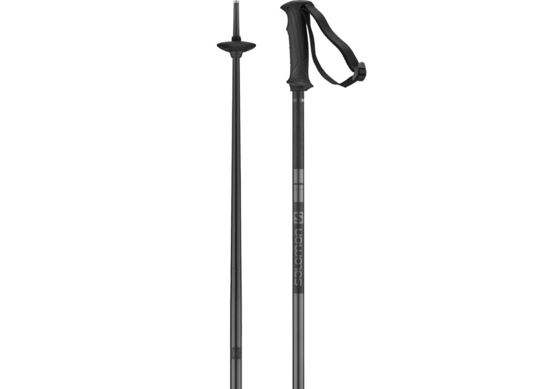 Salomon Arctic skistokken zwart unisex