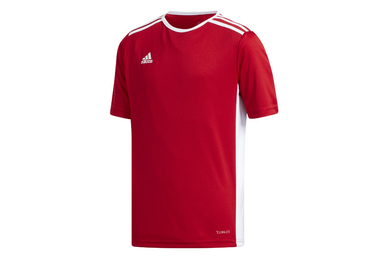 karton Ruïneren reservoir Adidas voetbalshirts kledij - rood , online kopen in de webshop van  Delsport | 37093462