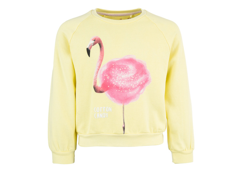 Stones and Bones Odessa cotton candy Sweater geel meisjes