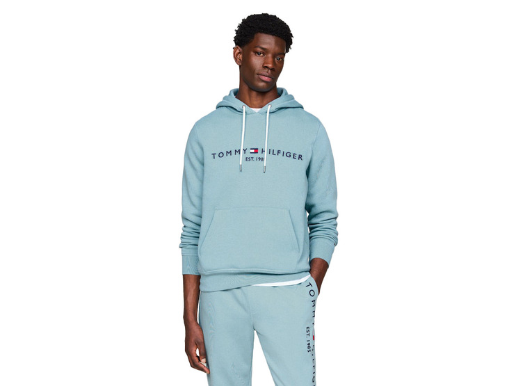 Tommy Hilfiger tommy logo hoody sleepy blue heren