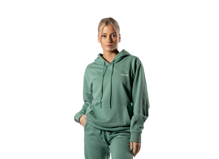 Aesthetic Wolf 365 oversized hoodie dusk green dames