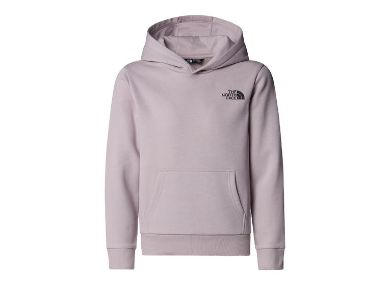 The North Face Simple Dome hoodie moonstone grey KIDS