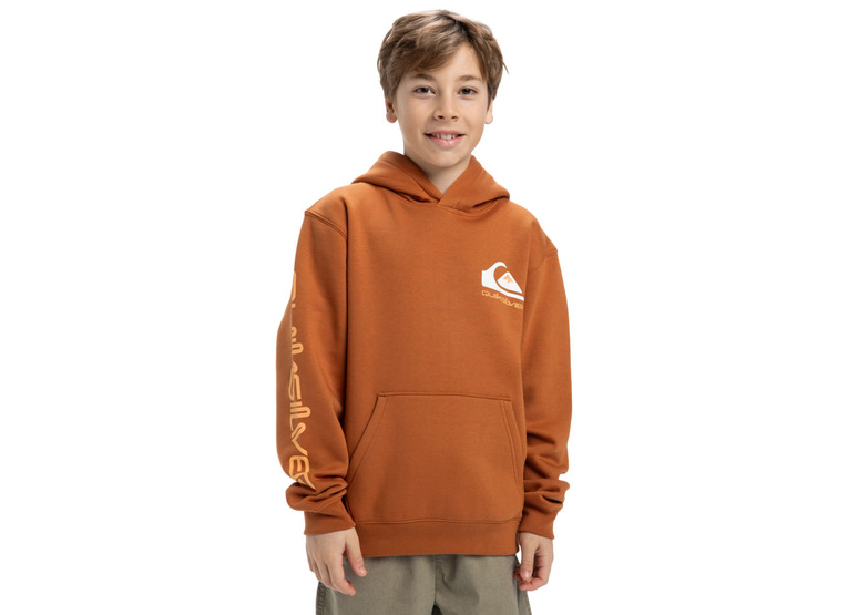 Quiksilver omni logo hoodie bran KIDS