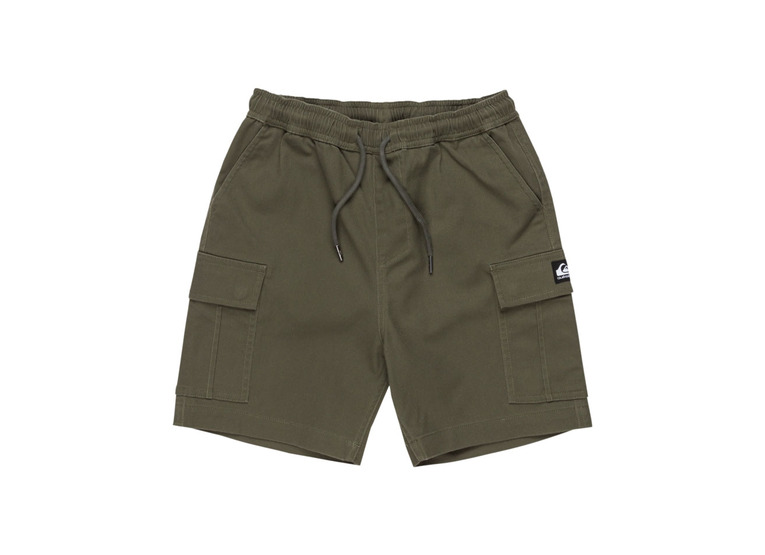 Quiksilver Taxer cargo short grape leaf KIDS