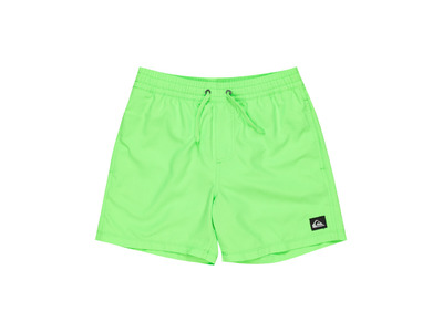 Quiksilver Everyday Solid zwemshort green gecko KIDS