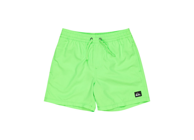 Quiksilver Everyday Solid zwemshort green gecko KIDS