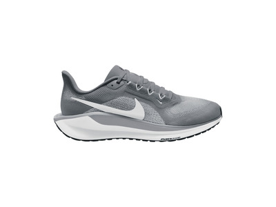 Nike Pegasus 41 loopschoen cool grey/wit heren
