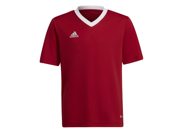 Adidas Entrada 22 voetbalshirt rood KIDS