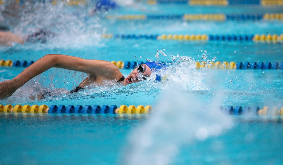 Onze topmerken voor zwemkleding in de kijker  Onze topmerken voor zwemkleding in de kijker