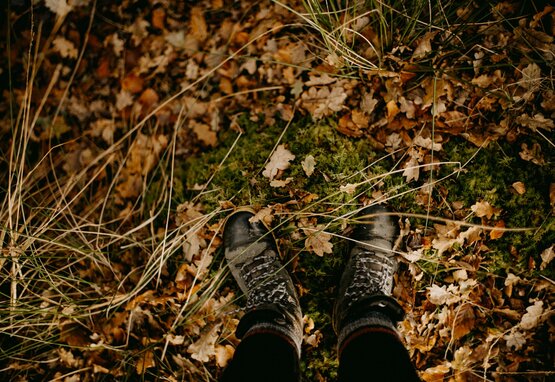 Link naar, Wandelen zonder zorgen met onze goede wandelschoenen 