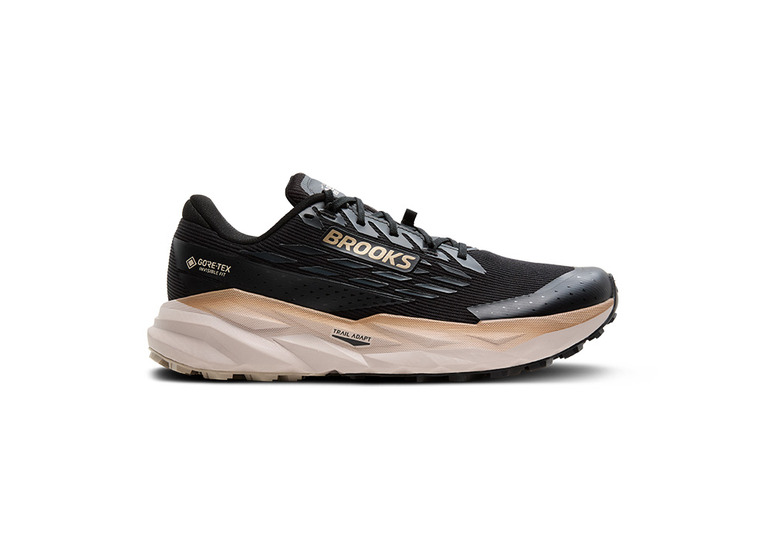 Brooks Cascadia 19 GTX trailschoen zwart/ebony/chateau gray heren