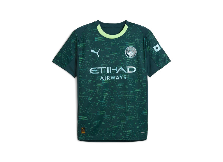 Puma Manchester City 25/26 vierde shirt green terrain heren