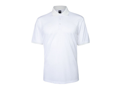 The Indian Maharadja wit heren