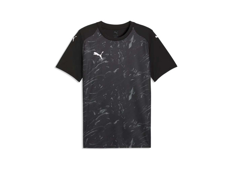 Puma teamFINAL graphic jersey zwart/grijs heren