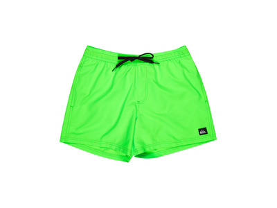 Quiksilver Everyday volley zwemshort green gecko heren Quiksilver Everyday volley zwemshort green gecko heren