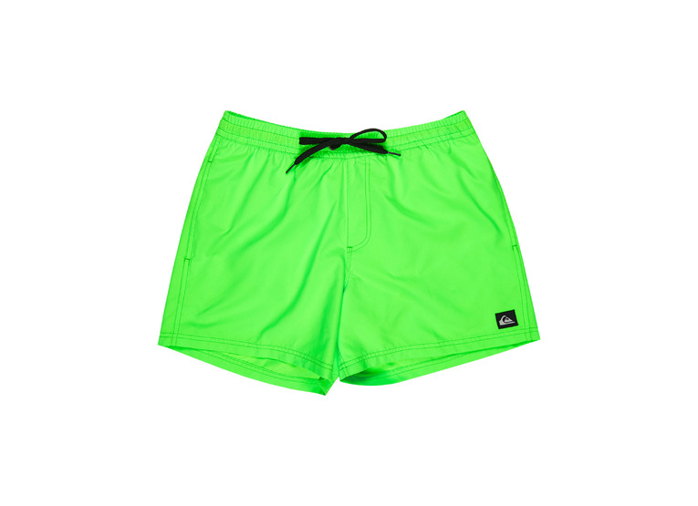 Quiksilver Everyday volley zwemshort green gecko heren Quiksilver Everyday volley zwemshort green gecko heren