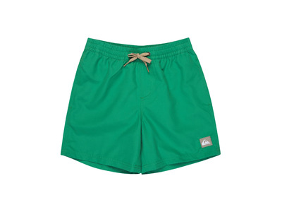 Quiksilver everyday volley zwemshort leprechaun KIDS Quiksilver everyday volley zwemshort leprechaun KIDS