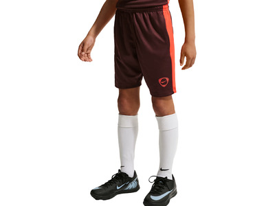 Nike Academy+ Dri-FIT voetbalshort mystic dates KIDS