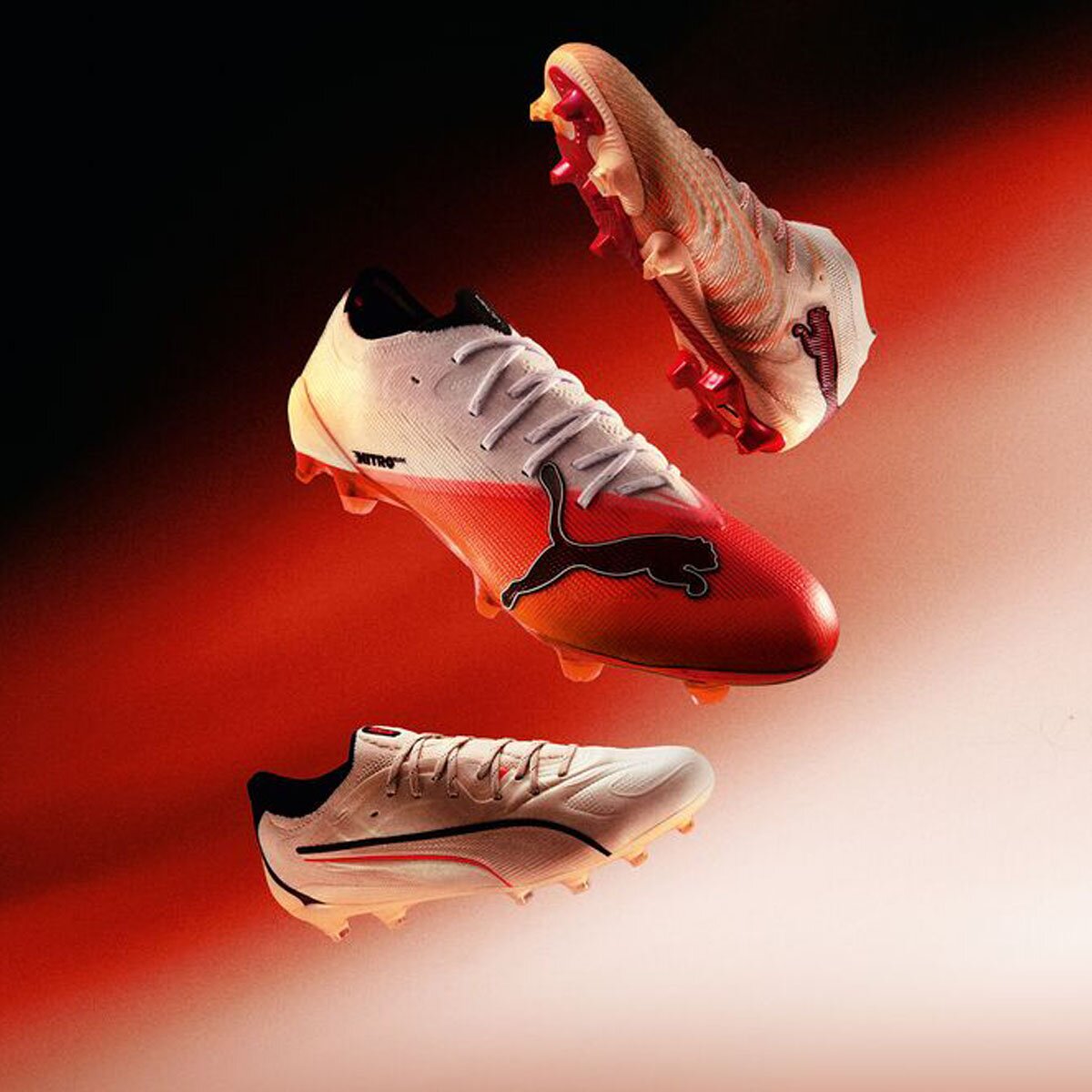 Pumaarrivalpack.jpg