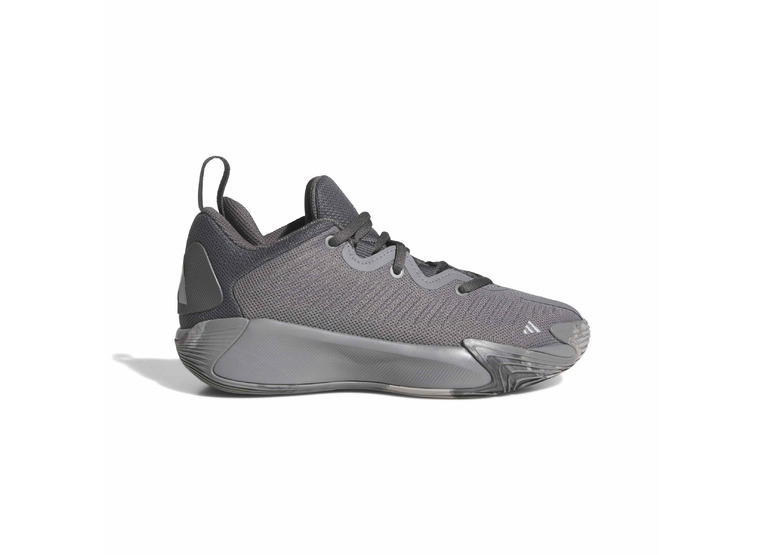 Adidas Initiation J basketbalschoen grijs