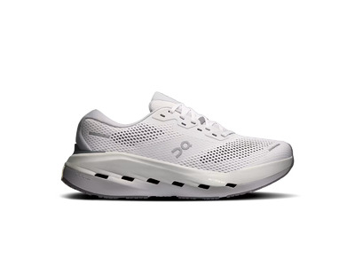 On Cloudrunner 3 Max loopschoen frost/rock dames On Cloudrunner 3 Max loopschoen frost/rock dames